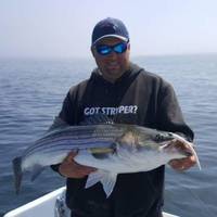 Got Stryper Charters