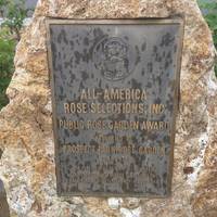 Albuquerque Rose Society Rose Garden