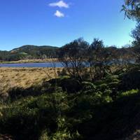 Pauanui Trail