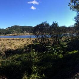 Pauanui Trail