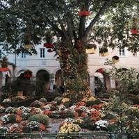 Cloitre des Dames Blanches