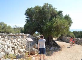 Pag tours