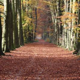 Landgoed Mariendaal