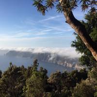 Three Capes Track