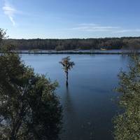 JR Alford Greenway