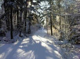 North Bay Nordic Ski Club