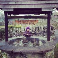 Ferne Animal Sanctuary