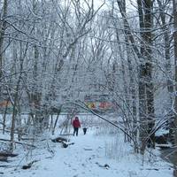 Webster Conservation Area
