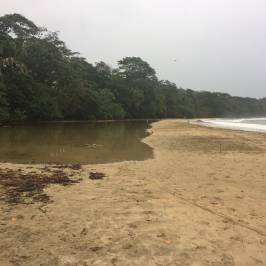 Punta Uva Beach