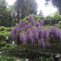 Kasuga Taish Sinen Manyo Botanical Garden