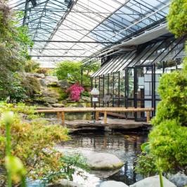 Watertuin Naaldwijk
