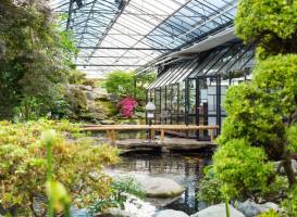 Watertuin Naaldwijk