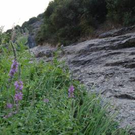 Ballikayalar Canyon