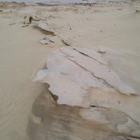 Alwathba Fossil Dunes