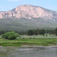 Vision Quest Western Horseback Rides & Lessons