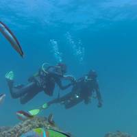 M.Rota Diving