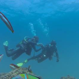 M.Rota Diving