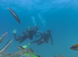 M.Rota Diving