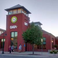Bay Area Transportation Authority (BATA)