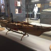 Lloyd. Le navi di Trieste nel Mondo