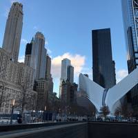 The Oculus
