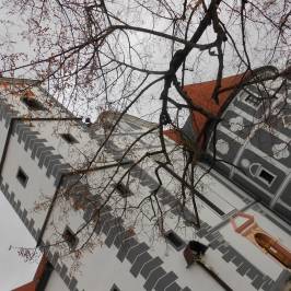 Olimje Castle