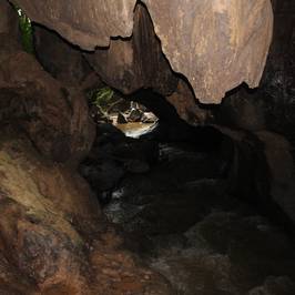 Cueva del Palmarito