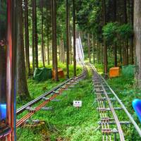 Okuiya Sightseeing Tour Monorail