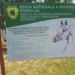 Mangalia Stud Farm