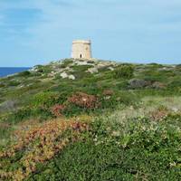 Torre d’Alcalfar