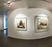 Shirin Gallery