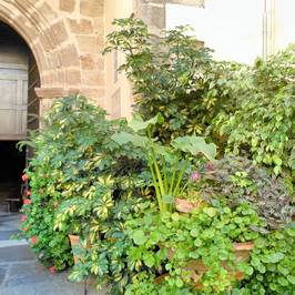 Castillo de Luna