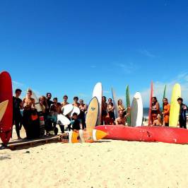 The Surfer's Place