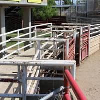 Rancho Los Potrillos