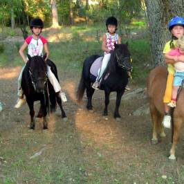 Granja eQuillet