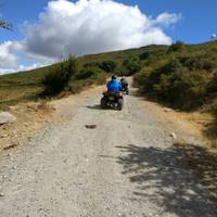 QuadsExperience