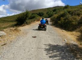 QuadsExperience