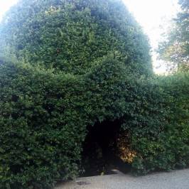 Terme della Via Francigena