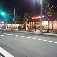 Suita Green Place