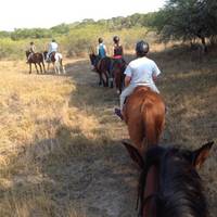 Hluhluwe Horse Safaris