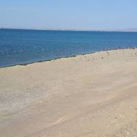 Reserva Nacional de Paracas