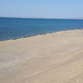 Reserva Nacional de Paracas