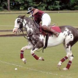 Stewarton Polo Club