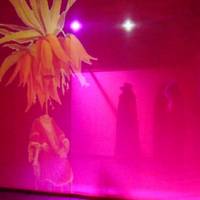Museo Meina