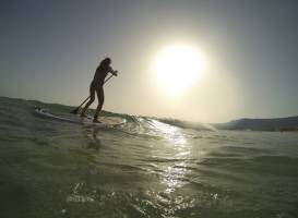 Sailboards Tarifa Sirocco Sportscenter