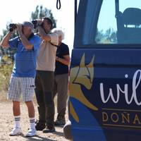 Wild Donana - Birds & Walks