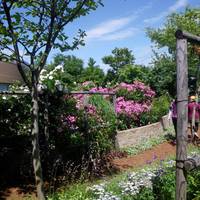 Royce Rose Garden