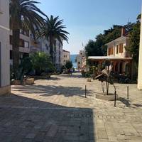 Area of Culture