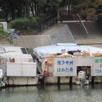 Naka River
