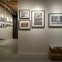 Skyline Gallery